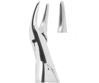 Extracting Forceps American pattern